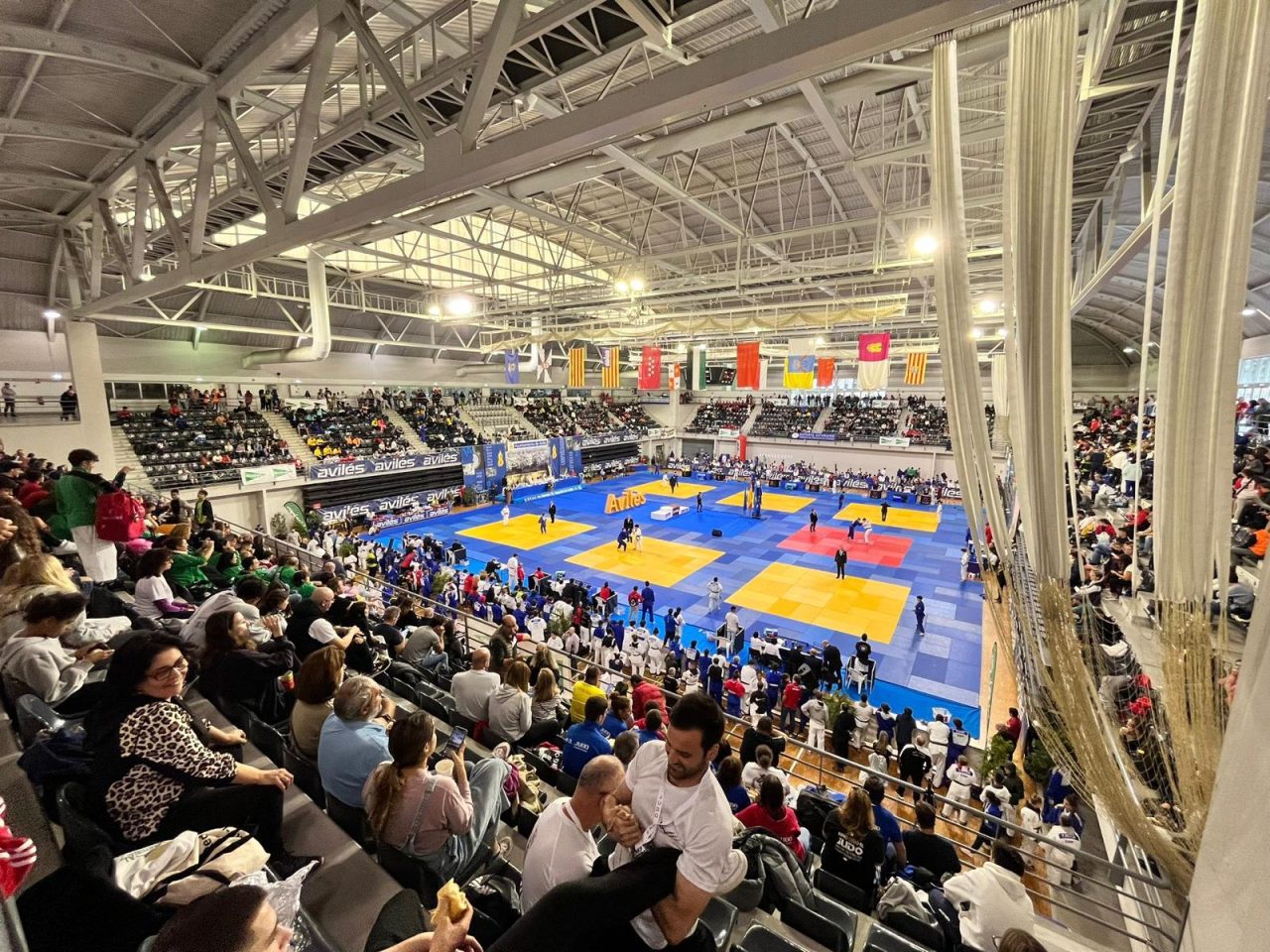 La Federaci N Espa Ola De Judo Y El Csd Convierten El Villa De Avil S